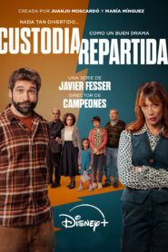 Custodia repartida 2025